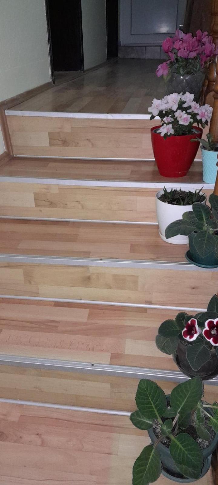 Snezana Semesterbostad Vranje